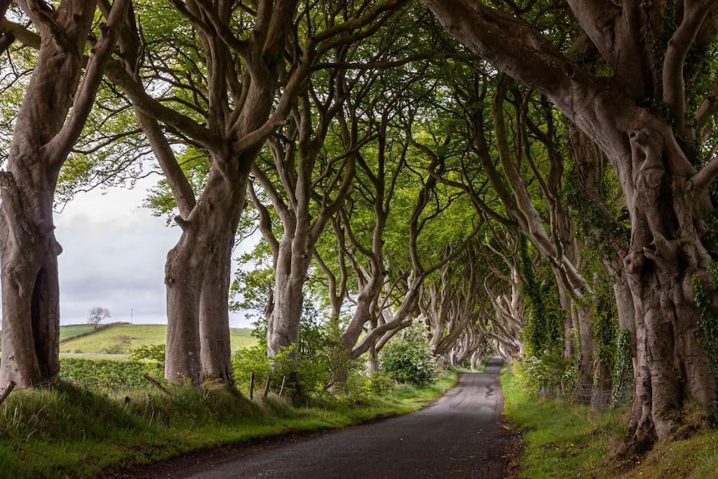 Апартаменты Causeway Coast Sea Front - Балликасл